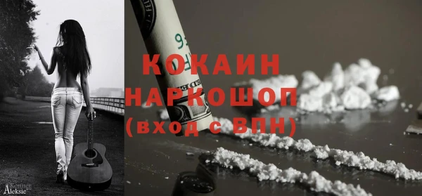 spice Аркадак