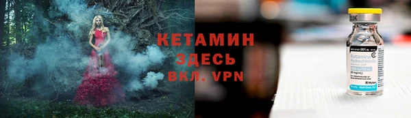 трава Балахна